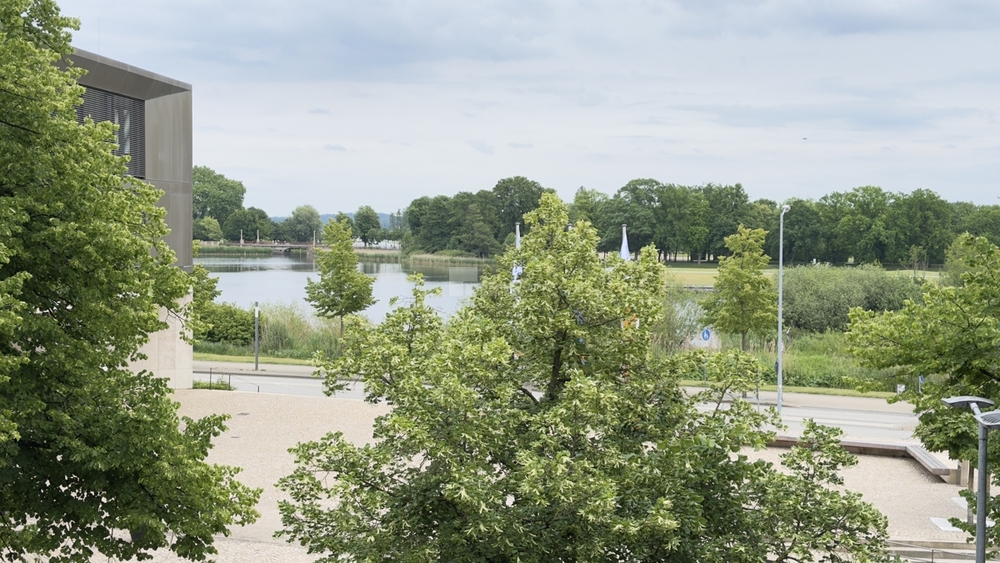 Repräsentatives Wohnen am Schlossgarten: Frisch renoviert & voller Wärme - Etagenwohnung Schwerin Feldstadt | Angebot:26828118